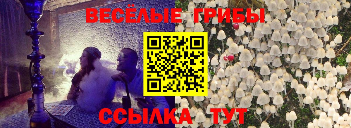 Галлюциногенные грибы Magic Shrooms Усть-Илимск