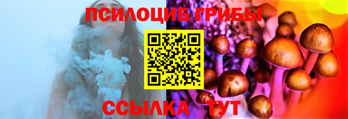Псилоцибиновые грибы прущие грибы  Псилоцибиновые грибы Magic Shrooms  Вход с VPN  Усть-Илимск 